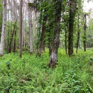 Meet your Posher, Lukas